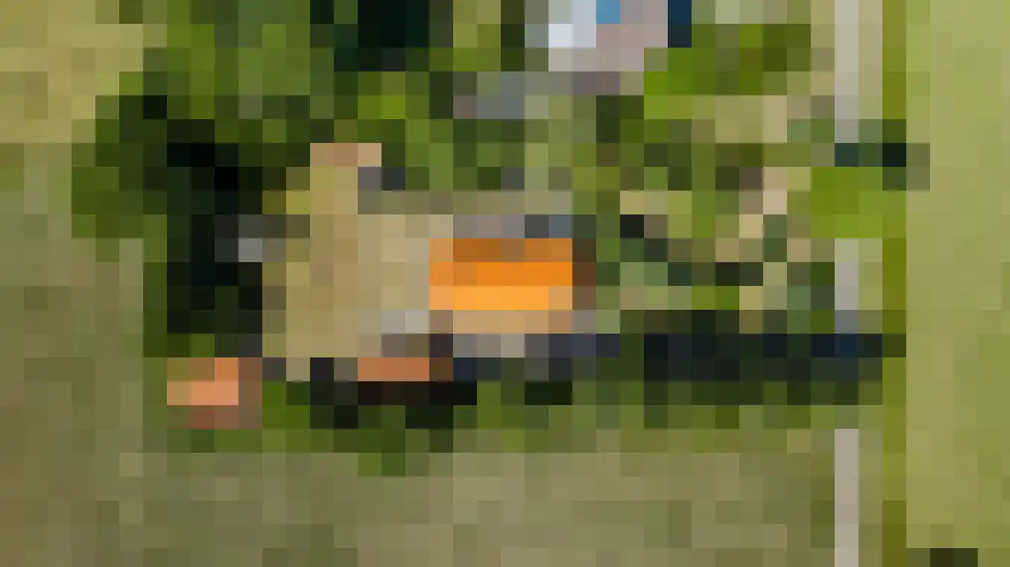 Dijkerpeelweg 24 Weert thumbnail 69