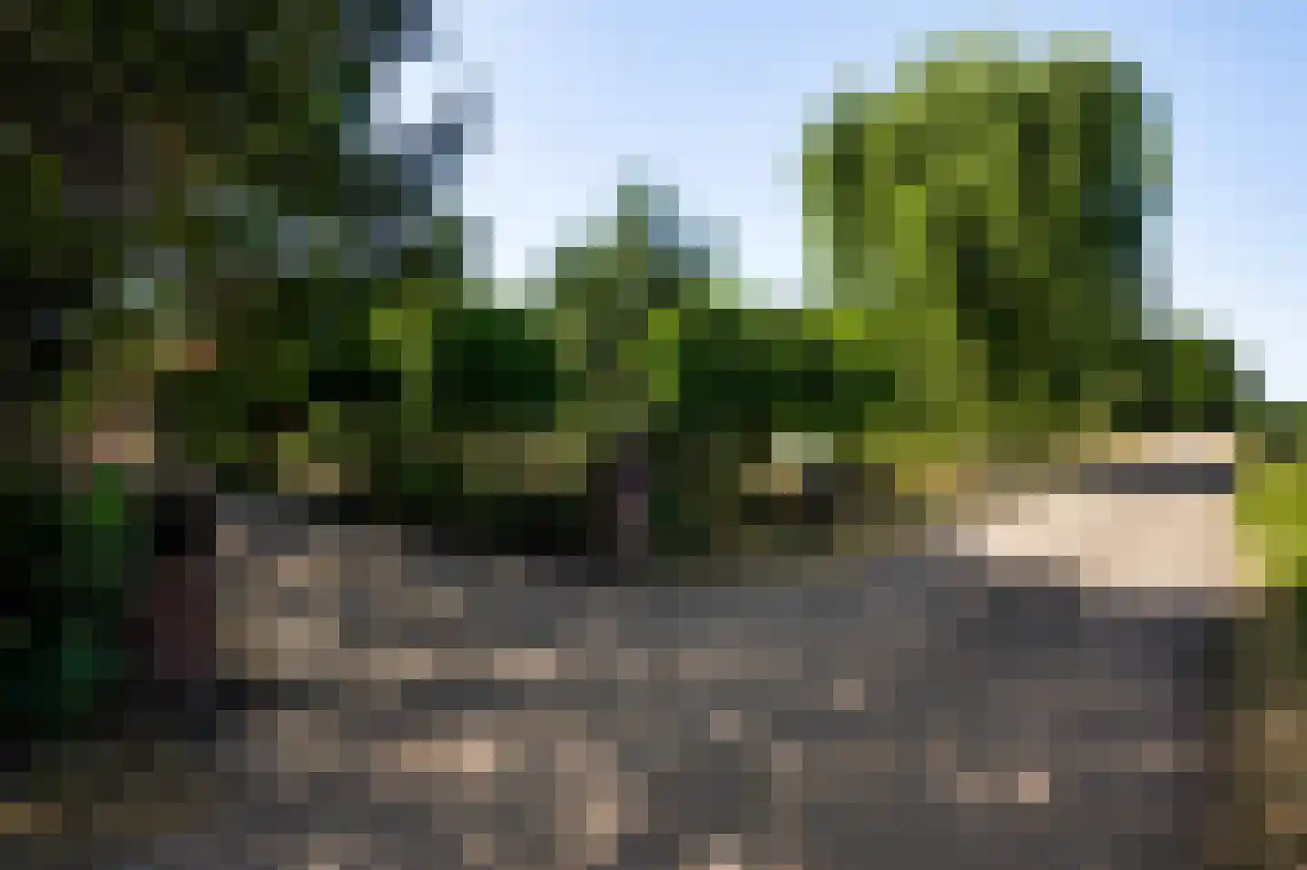 Dijkerpeelweg 24 Weert thumbnail 7