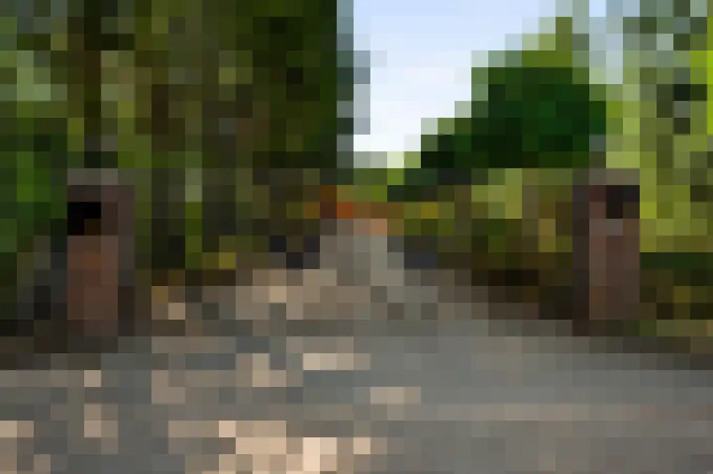 Dijkerpeelweg 24 Weert thumbnail 8
