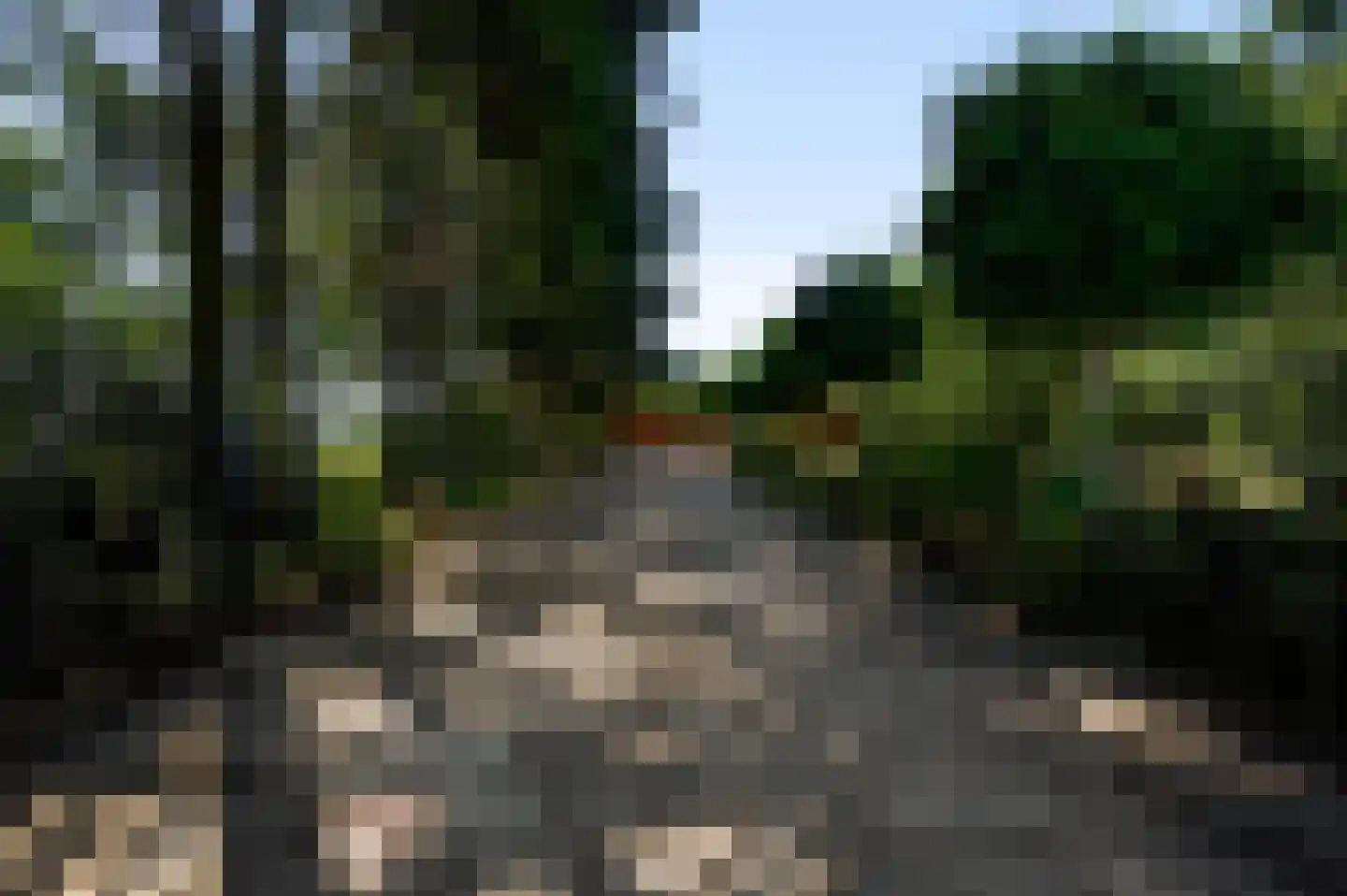 Dijkerpeelweg 24 Weert thumbnail 9