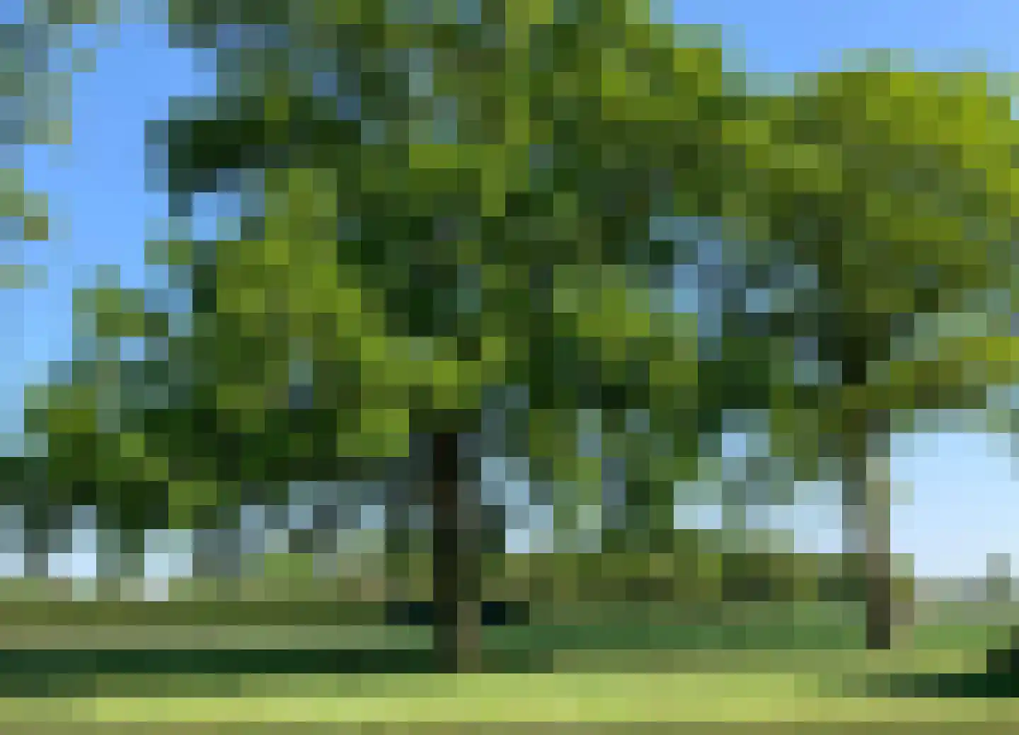 Dijkerstraat 63 Weert thumbnail 43