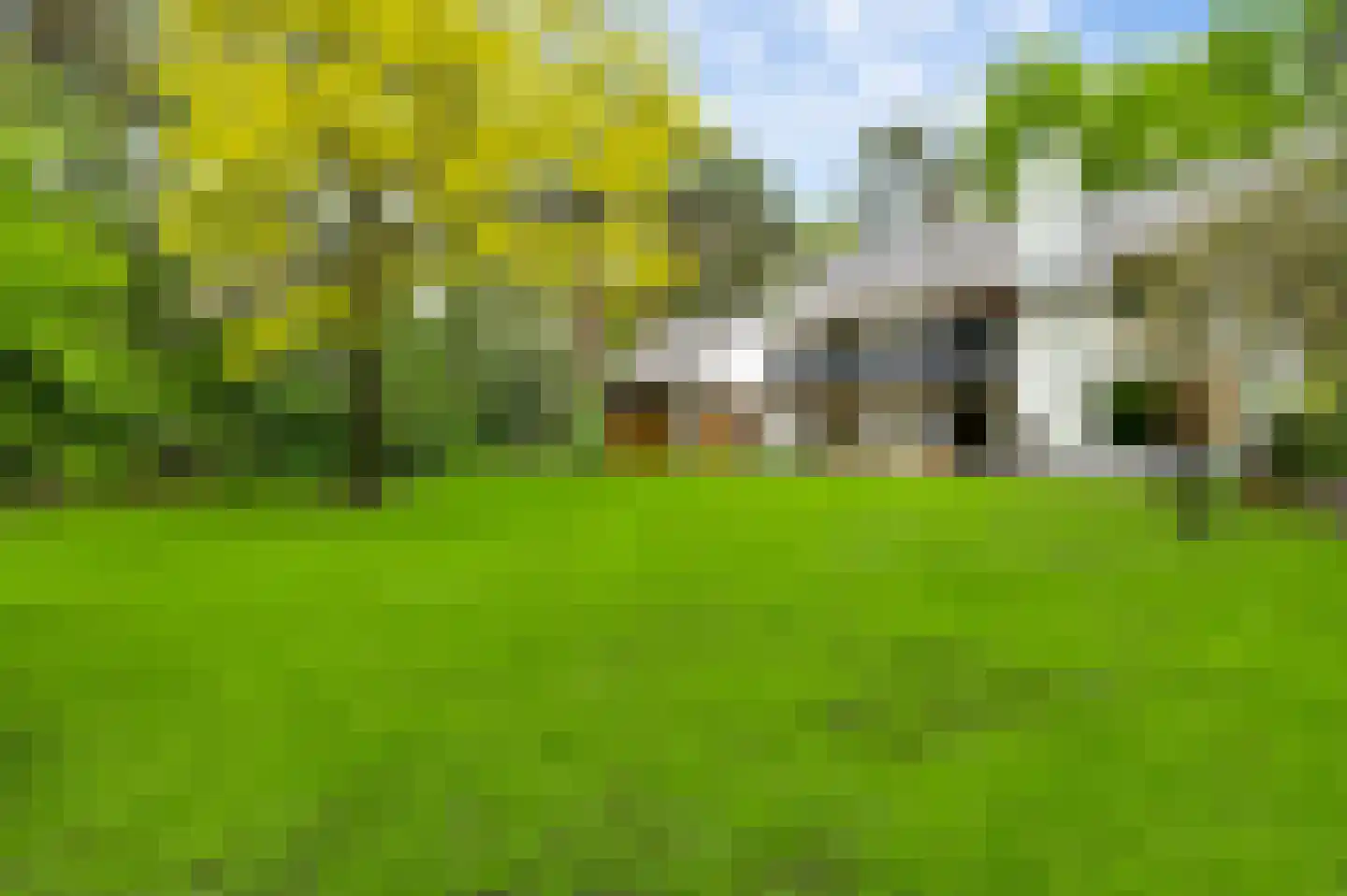 Dijkerstraat 85 Weert thumbnail 36