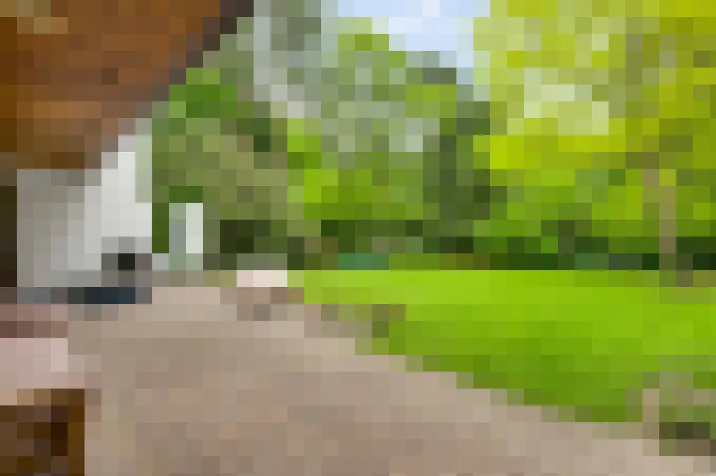 Dijkerstraat 85 Weert thumbnail 40