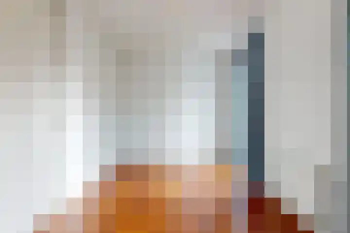 Dijkgraaf 109 Zwaag thumbnail 11