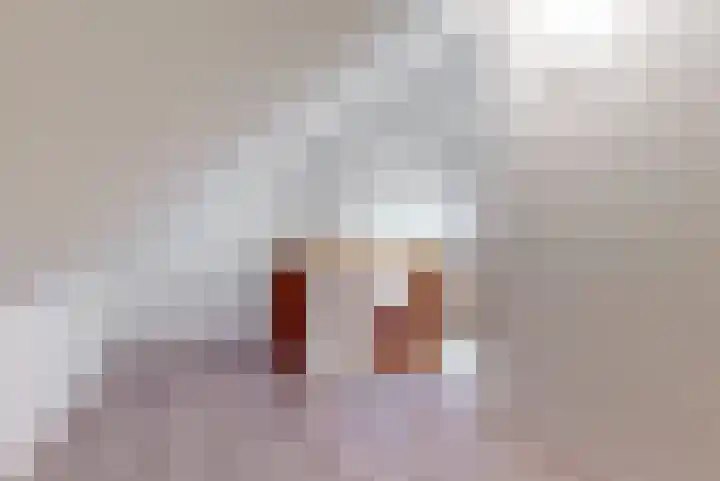Dijkgraaf 109 Zwaag thumbnail 15