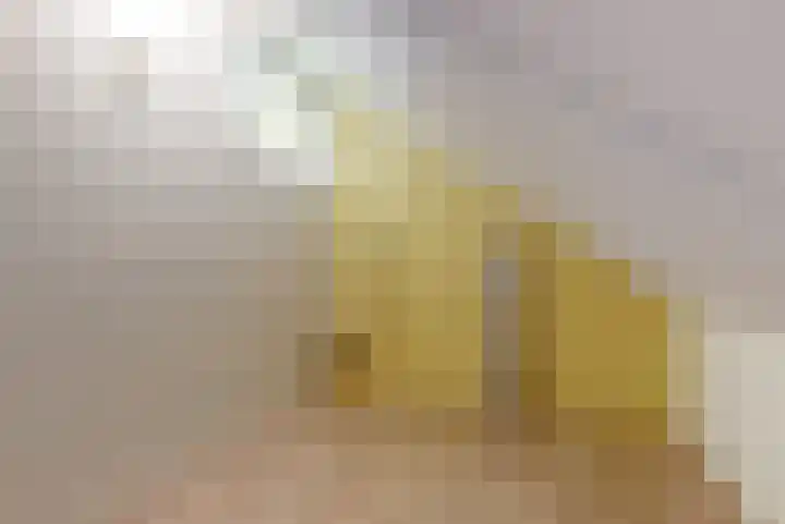Dijkgraaf 109 Zwaag thumbnail 16