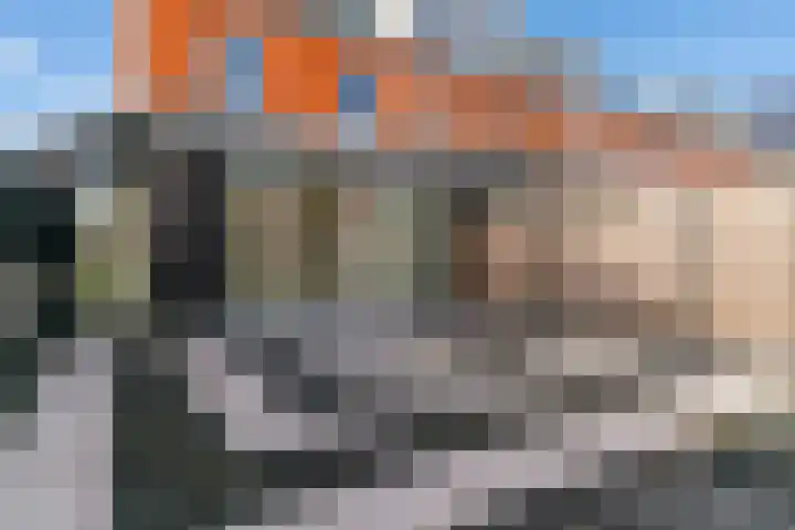 Dijkgraaf 109 Zwaag thumbnail 20