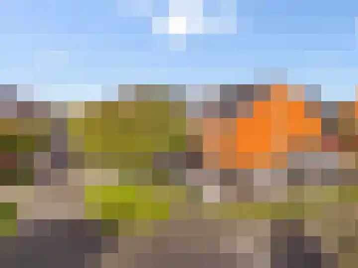 Dijkgraaf 109 Zwaag thumbnail 24