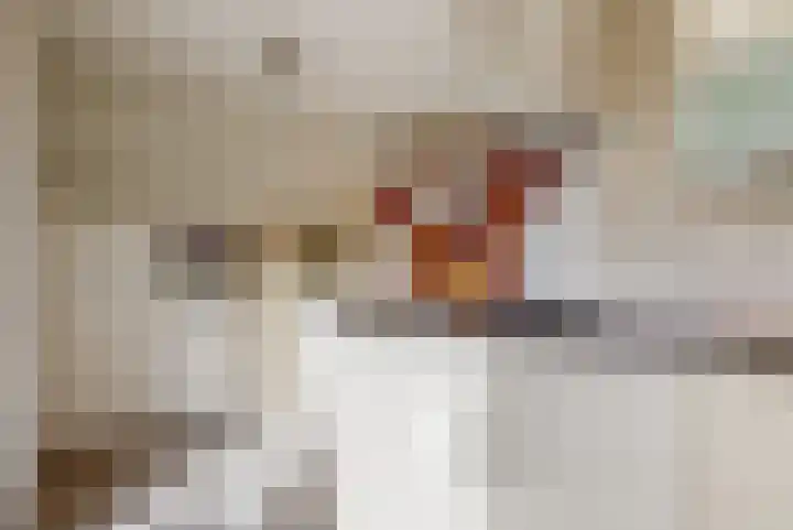 Dijkgraaf 109 Zwaag thumbnail 7