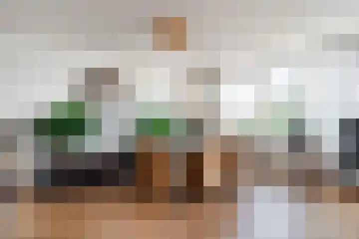 Dijkgraaf 111 Ouderkerk aan de Amstel thumbnail 13