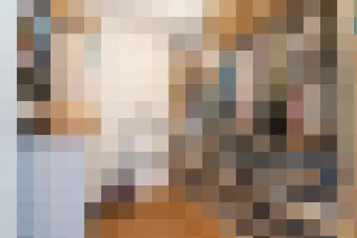 Dijkgraaf 111 Ouderkerk aan de Amstel thumbnail 19