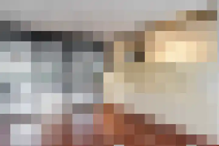 Dijkgraaf 111 Ouderkerk aan de Amstel thumbnail 34