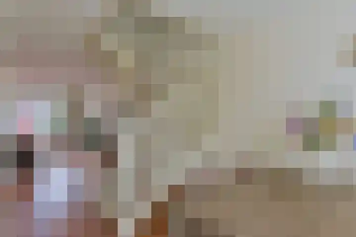 Dijkgraaf 115 Zwaag thumbnail 10