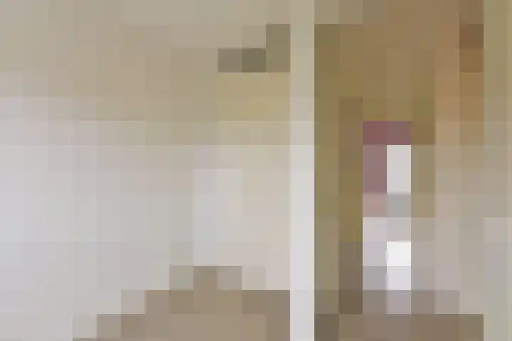 Dijkgraaf 115 Zwaag thumbnail 16
