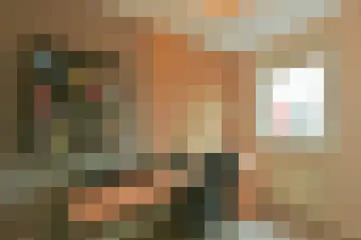 Dijkgraaf 115 Zwaag thumbnail 17