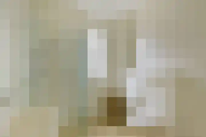 Dijkgraaf 115 Zwaag thumbnail 18
