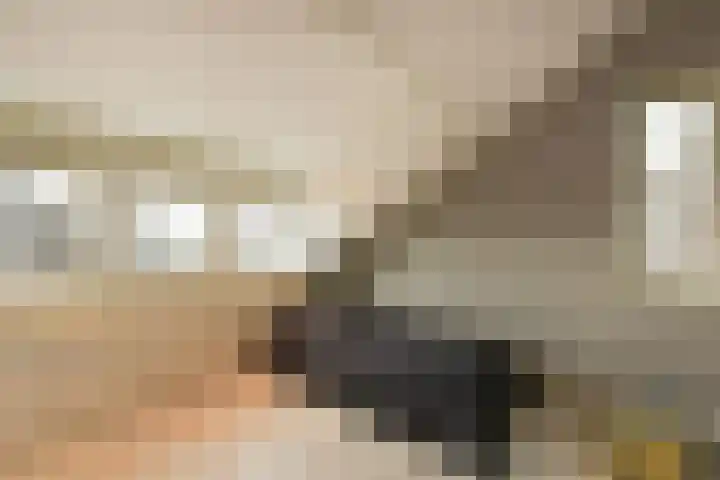 Dijkgraaf 115 Zwaag thumbnail 20