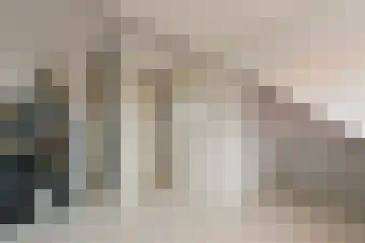 Dijkgraaf 115 Zwaag thumbnail 21