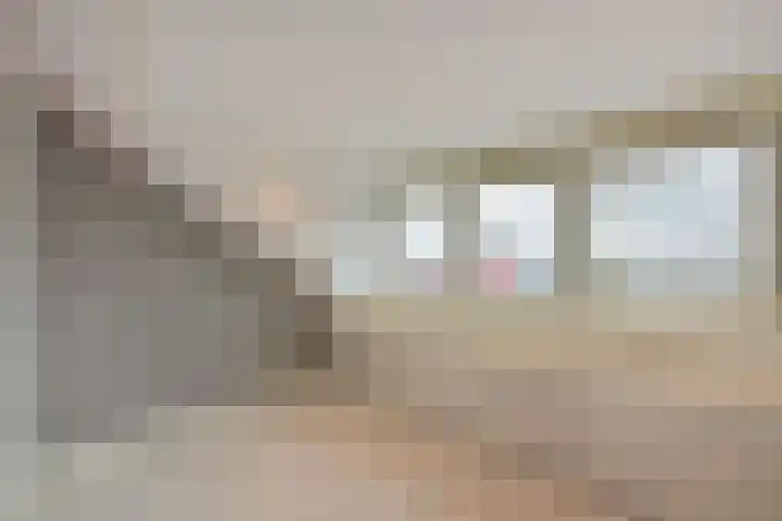 Dijkgraaf 115 Zwaag thumbnail 22