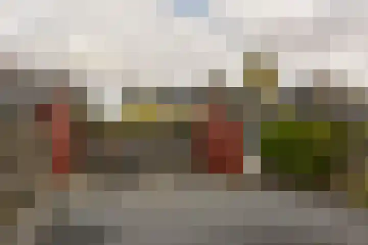 Dijkgraaf 115 Zwaag thumbnail 23