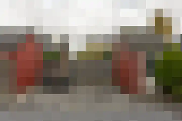 Dijkgraaf 115 Zwaag thumbnail 24