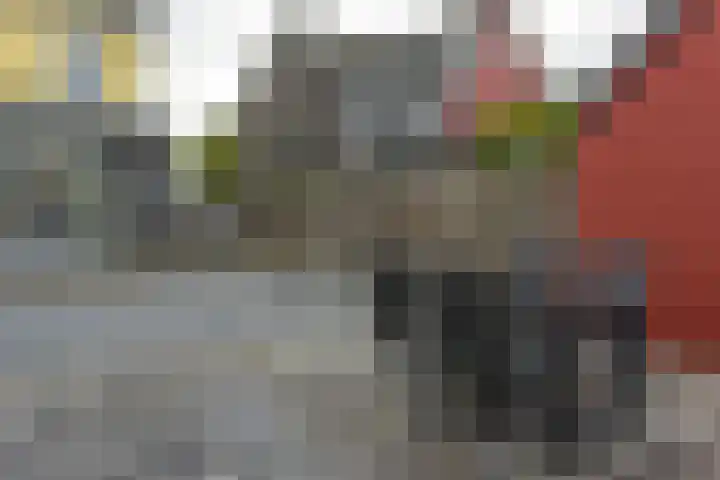 Dijkgraaf 115 Zwaag thumbnail 25