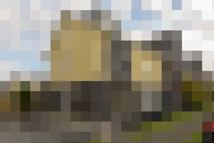 Dijkgraaf 115 Zwaag thumbnail 27