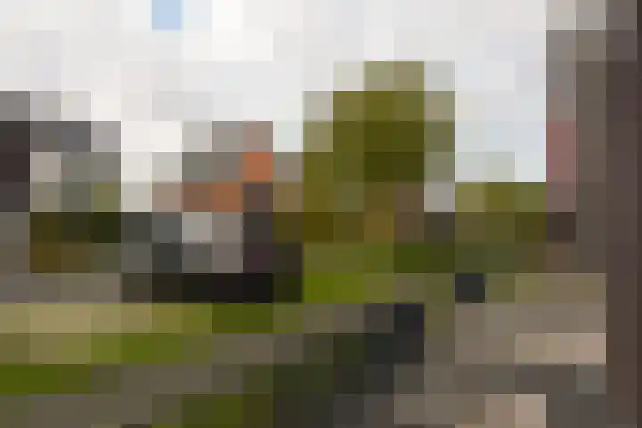 Dijkgraaf 115 Zwaag thumbnail 29
