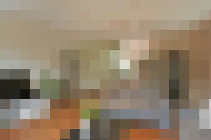 Dijkgraaf 115 Zwaag thumbnail 4