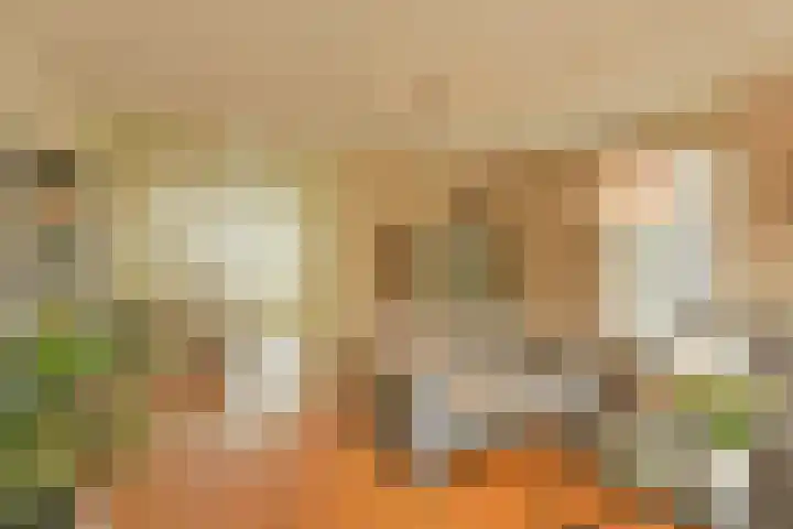 Dijkgraaf 115 Zwaag thumbnail 5