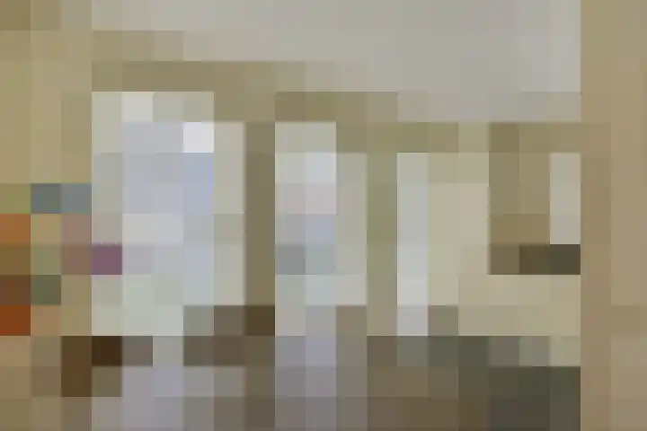 Dijkgraaf 115 Zwaag thumbnail 6