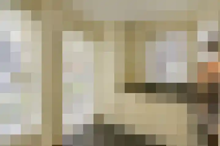 Dijkgraaf 115 Zwaag thumbnail 7