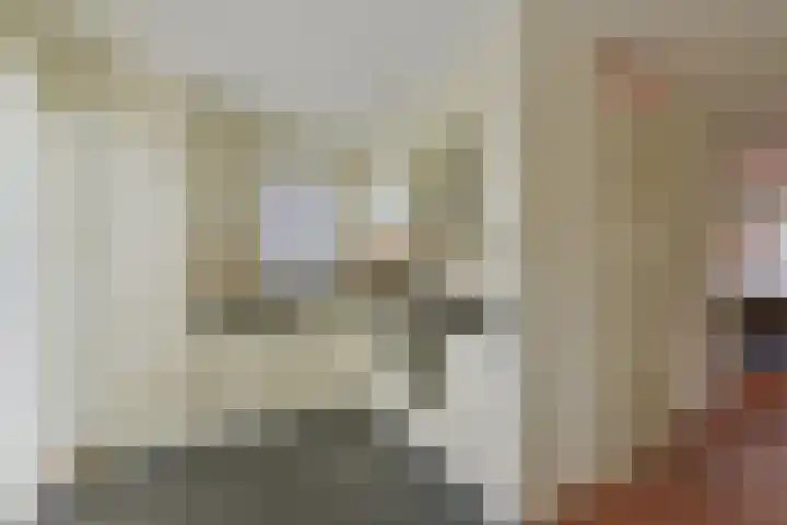 Dijkgraaf 115 Zwaag thumbnail 8