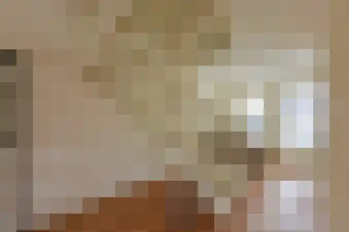 Dijkgraaf 115 Zwaag thumbnail 9