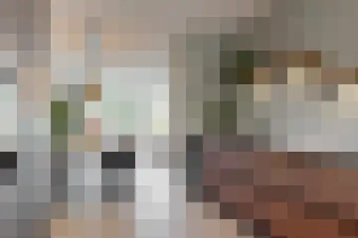 Dijkgraaf 136 Zwaag thumbnail 15