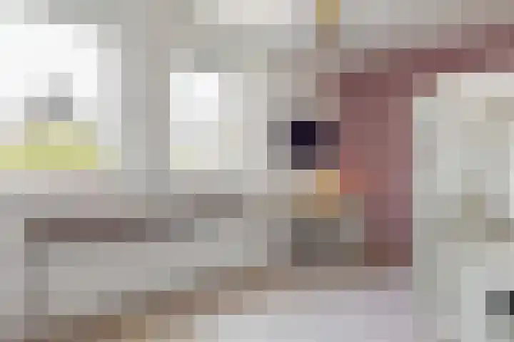 Dijkgraaf 136 Zwaag thumbnail 27