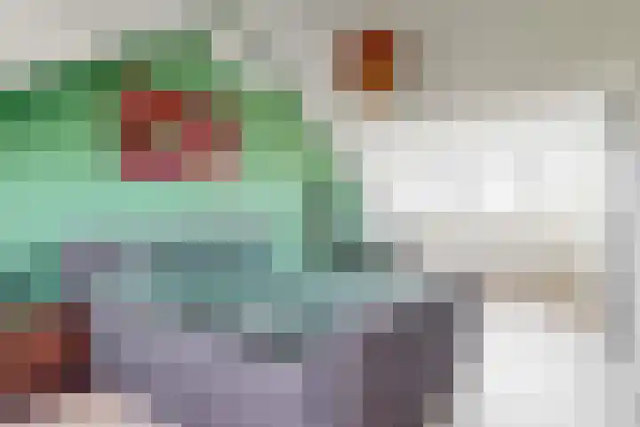 Dijkgraaf 136 Zwaag thumbnail 28