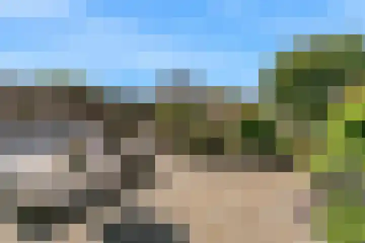 Dijkgraaf 136 Zwaag thumbnail 32