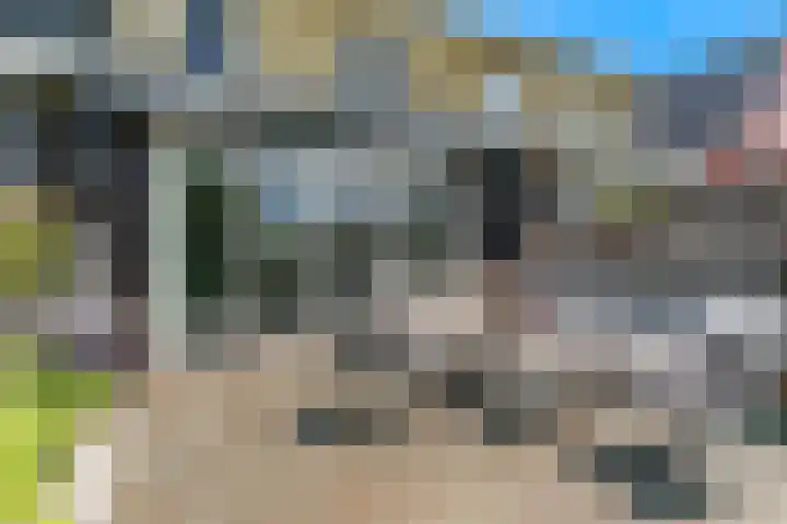Dijkgraaf 136 Zwaag thumbnail 33