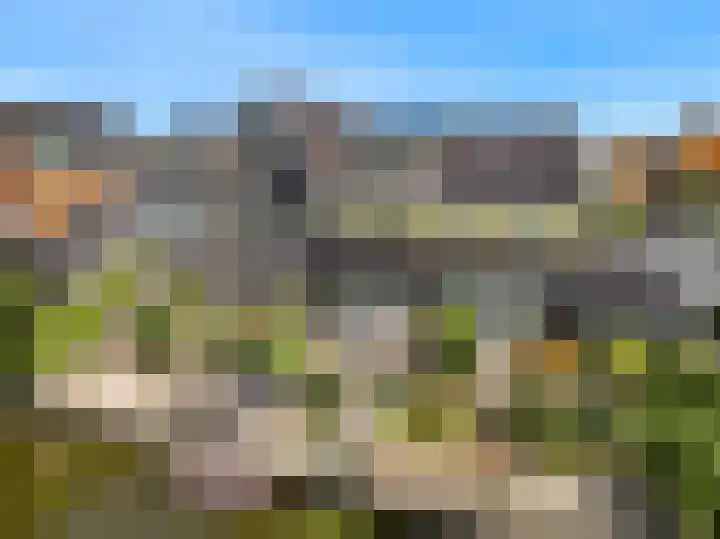 Dijkgraaf 136 Zwaag thumbnail 37