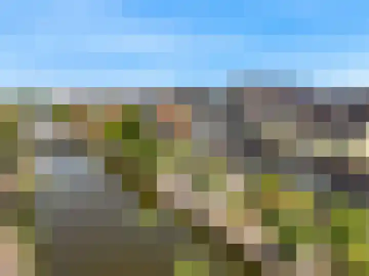 Dijkgraaf 136 Zwaag thumbnail 38