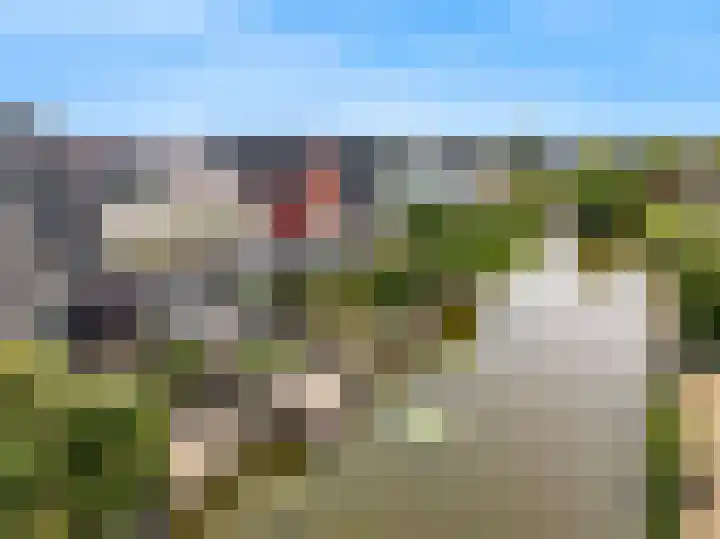 Dijkgraaf 136 Zwaag thumbnail 39