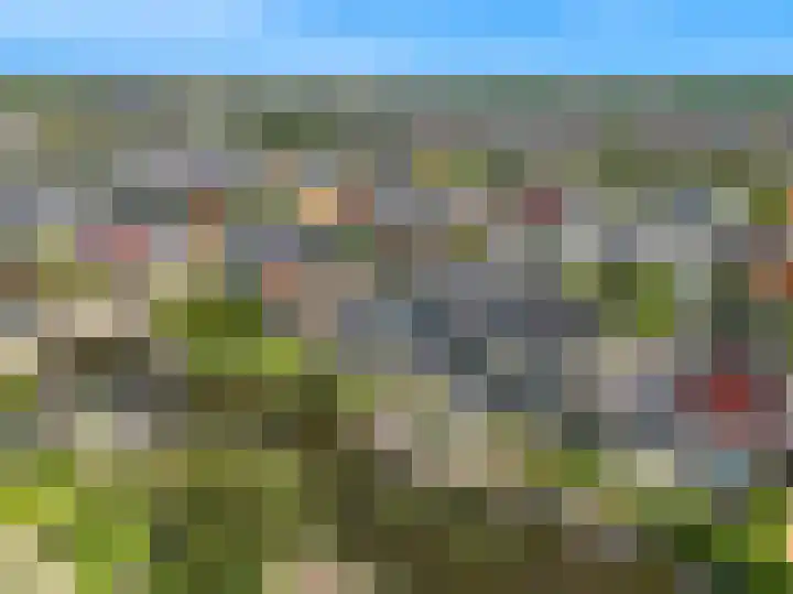 Dijkgraaf 136 Zwaag thumbnail 40