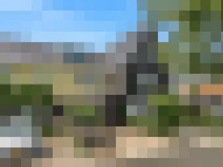 Dijkgraaf 136 Zwaag thumbnail 41