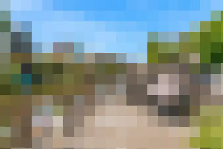 Dijkgraaf 136 Zwaag thumbnail 5
