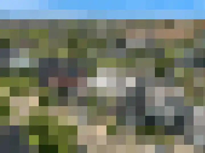 Dijkgraaf 136 Zwaag thumbnail 6