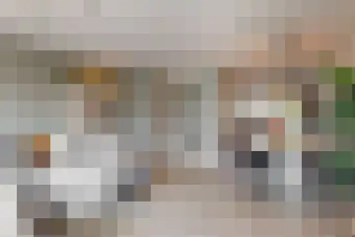 Dijkgraaf 136 Zwaag thumbnail 8