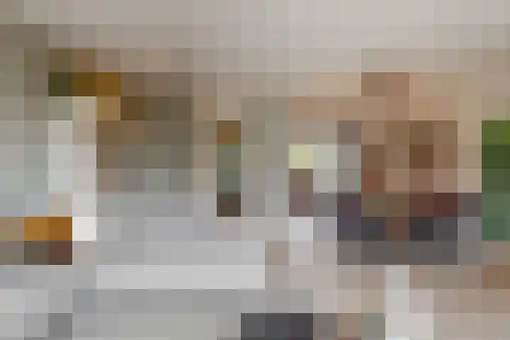 Dijkgraaf 136 Zwaag thumbnail 9
