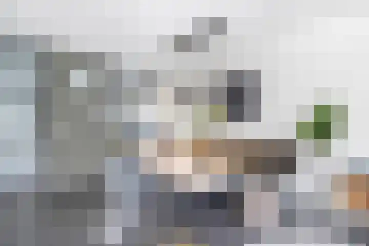 Dijkgraaf 14 Brielle thumbnail 12