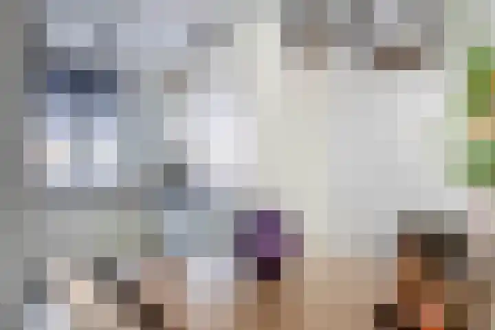 Dijkgraaf 14 Brielle thumbnail 13